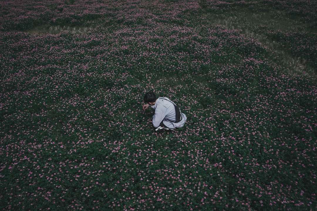 om în glugă albă și neagră așezat pe câmpul de iarbă verde puzzle online