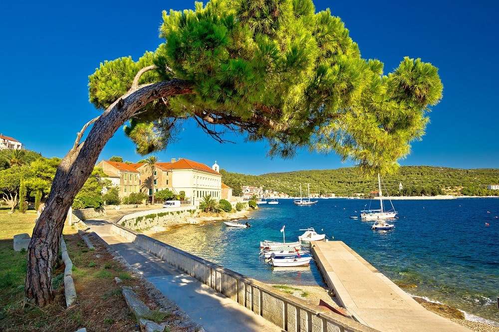 Insel vis in Kroatien Online-Puzzle