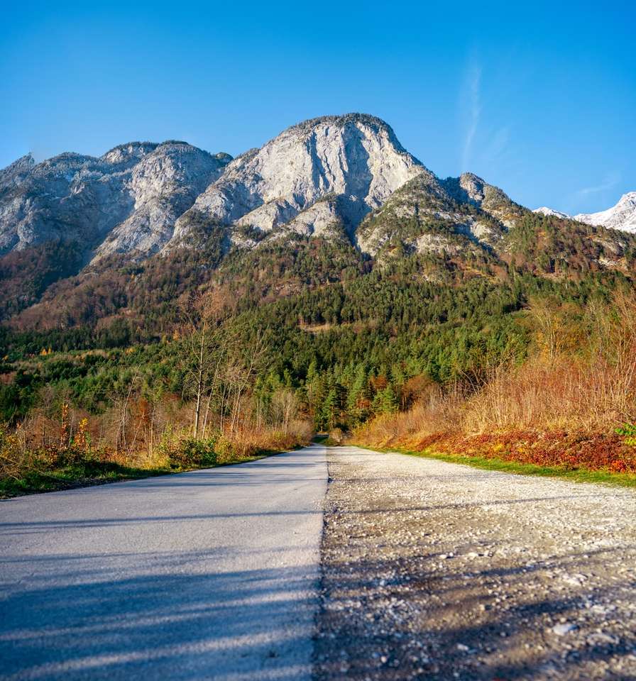 grijze asfaltweg tussen groen grasveld in de buurt van berg legpuzzel online
