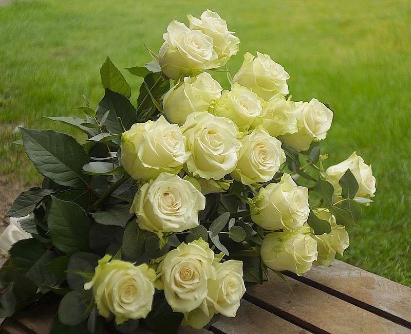 букет от кремави рози онлайн пъзел