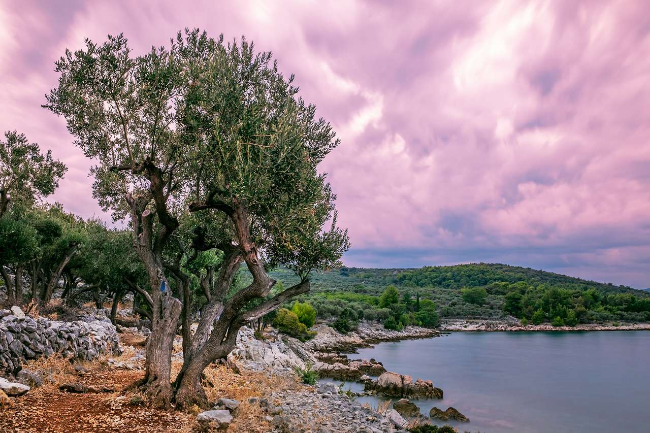 Cres ön Kroatien pussel på nätet