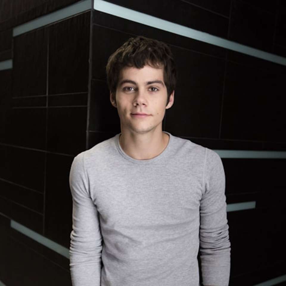 Dylan O'Brien jigsaw puzzle online
