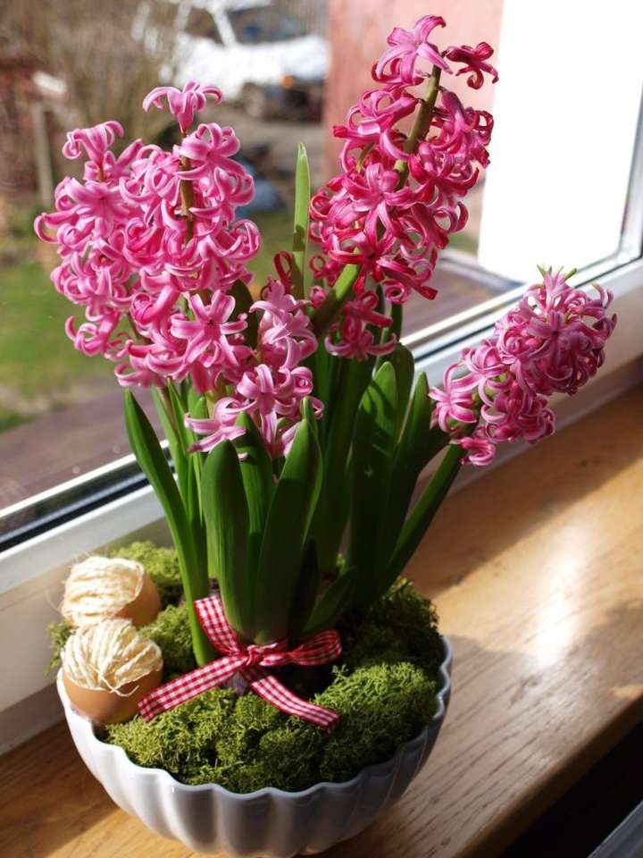 roze hyacint legpuzzel online