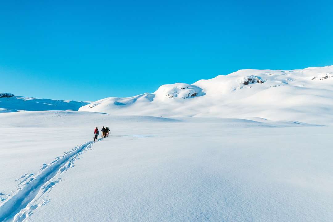 Menschen, die tagsüber auf schneebedecktem Feld gehen Puzzlespiel online