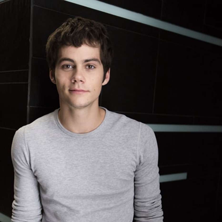 Dylan O'Brien puzzle online