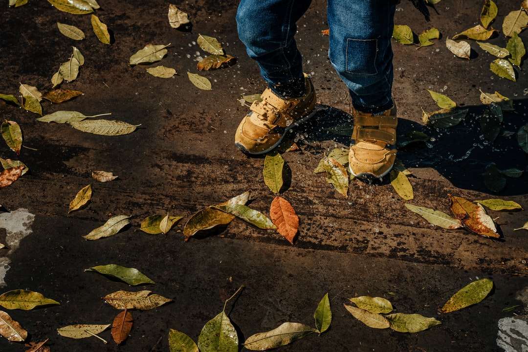 Persona en jeans azules y zapatos marrones para caminar rompecabezas en línea