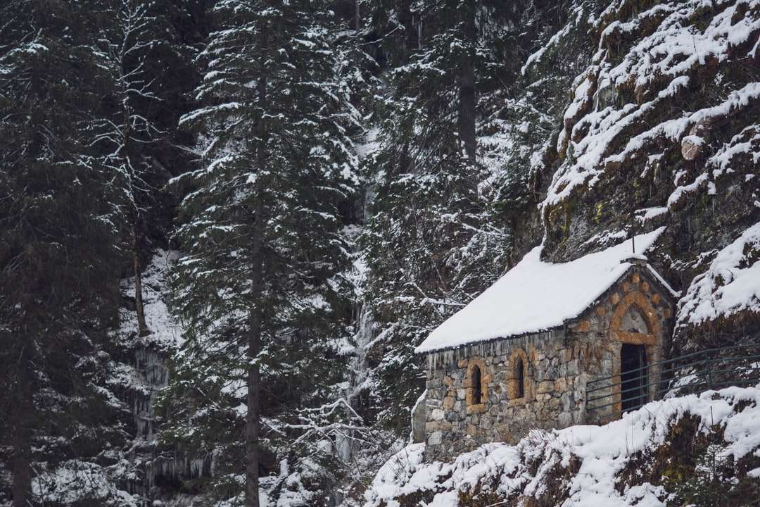 brunt hus omgivet av träd täckt av snö pussel på nätet