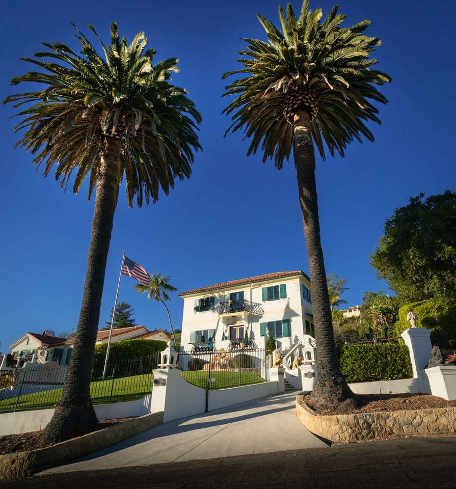 palmträd nära vit betongbyggnad Pussel online