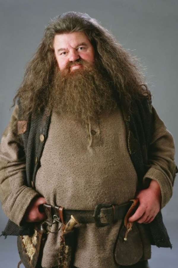 Hagrid wii skládačky online