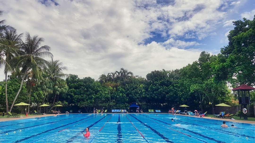 oameni înotând în piscină în timpul zilei jigsaw puzzle online