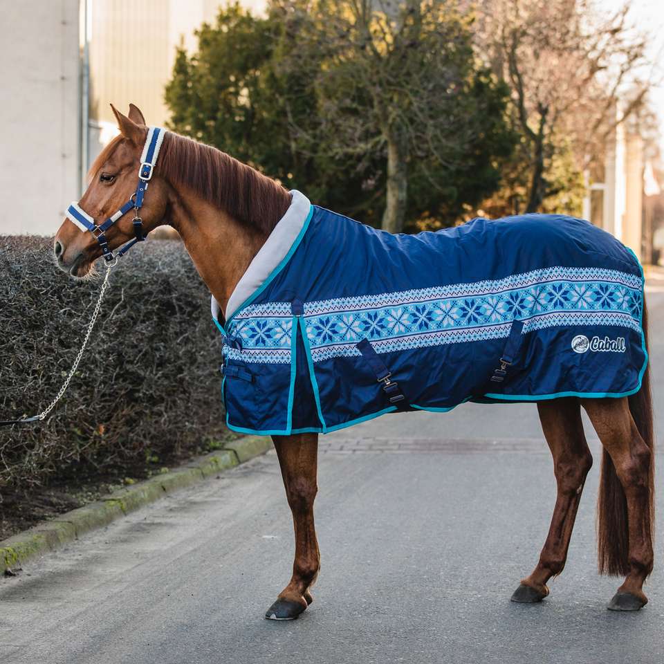 Un cheval dans un tapis puzzle en ligne