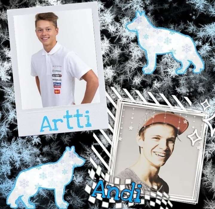 Artti Aigro and Andreas Wellinger online puzzle
