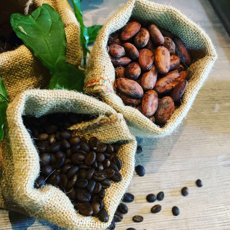 bruna kaffebönor på vit och grön textil Pussel online