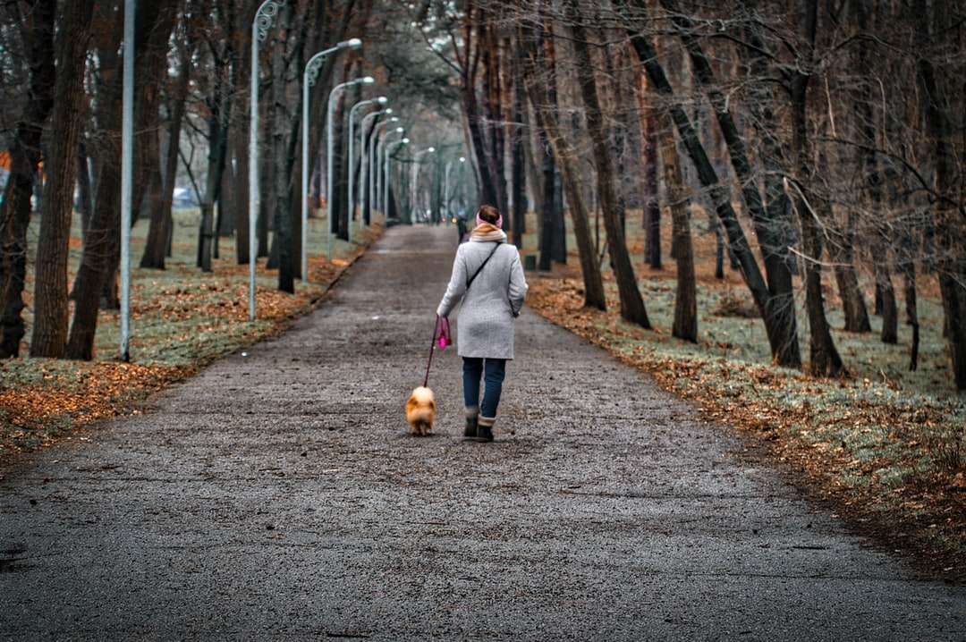 woman in gray coat walking on pathway with dog jigsaw puzzle online