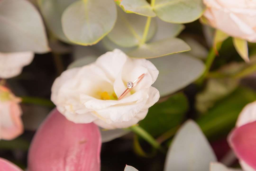 vit blomma med gröna blad Pussel online