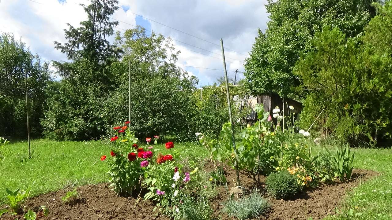 blomsterträdgård Pussel online
