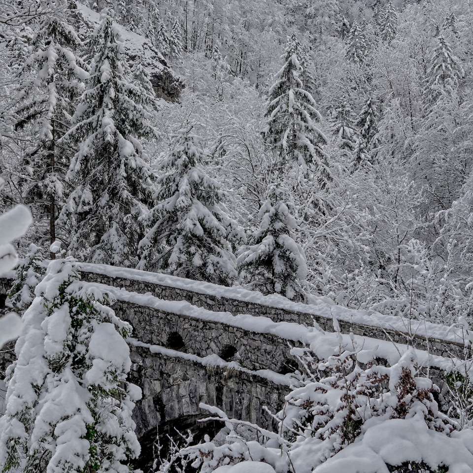 pins couverts de neige pendant la journée puzzle en ligne