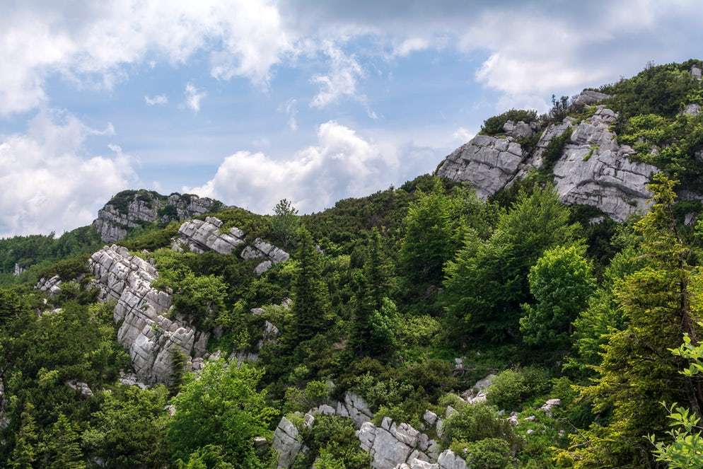 Национальный парк Рисняк Хорватия онлайн-пазл