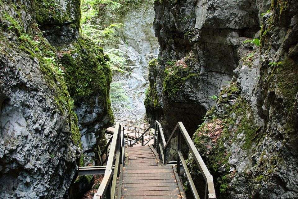 Εθνικό Πάρκο Risnjak Κροατία παζλ online
