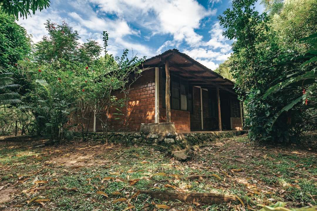 maison en brique brune entourée d'arbres verts puzzle en ligne
