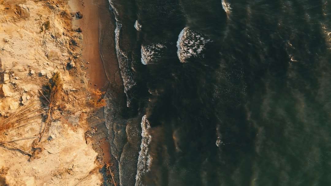 brun stenig strand under dagtid pussel på nätet