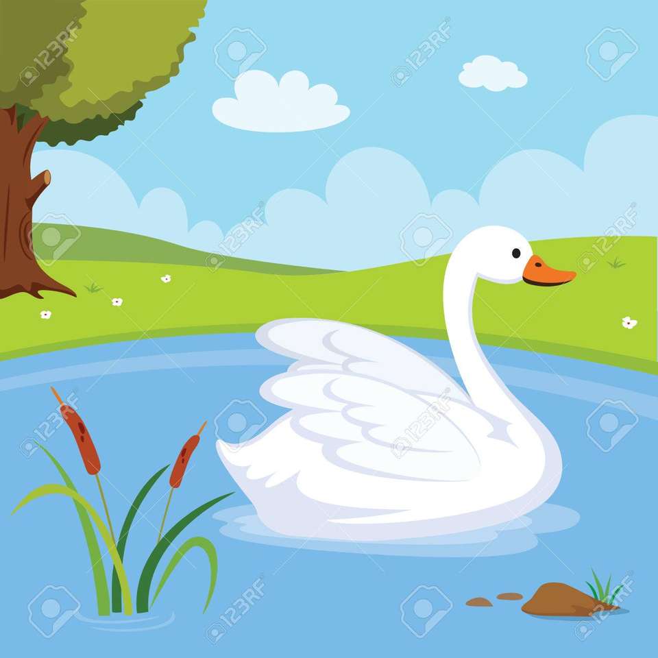 Cisne en el agua rompecabezas en línea