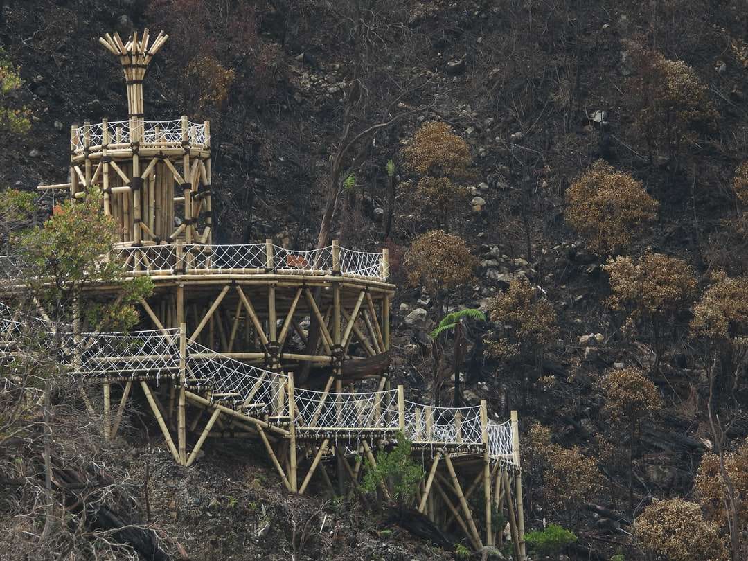 ponte de madeira marrom cercada por árvores quebra-cabeças online