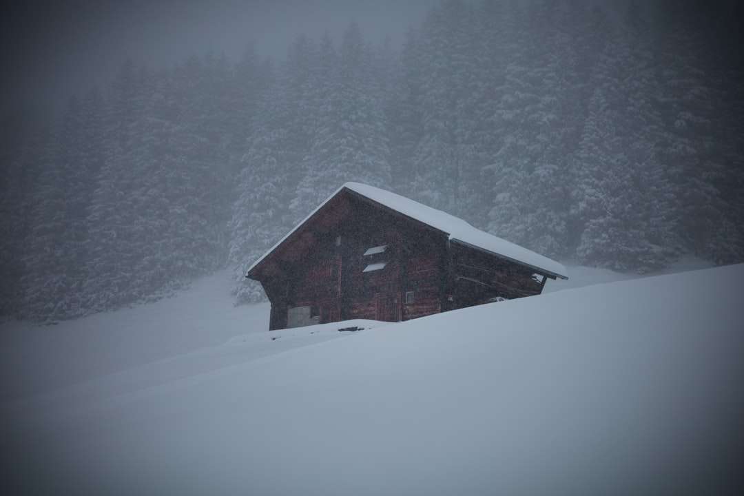 Casa de madera marrón sobre suelo cubierto de nieve rompecabezas en línea