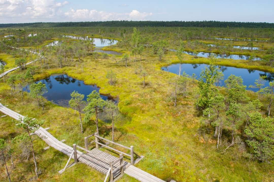 bacino di legno marrone sul lago durante il giorno puzzle online