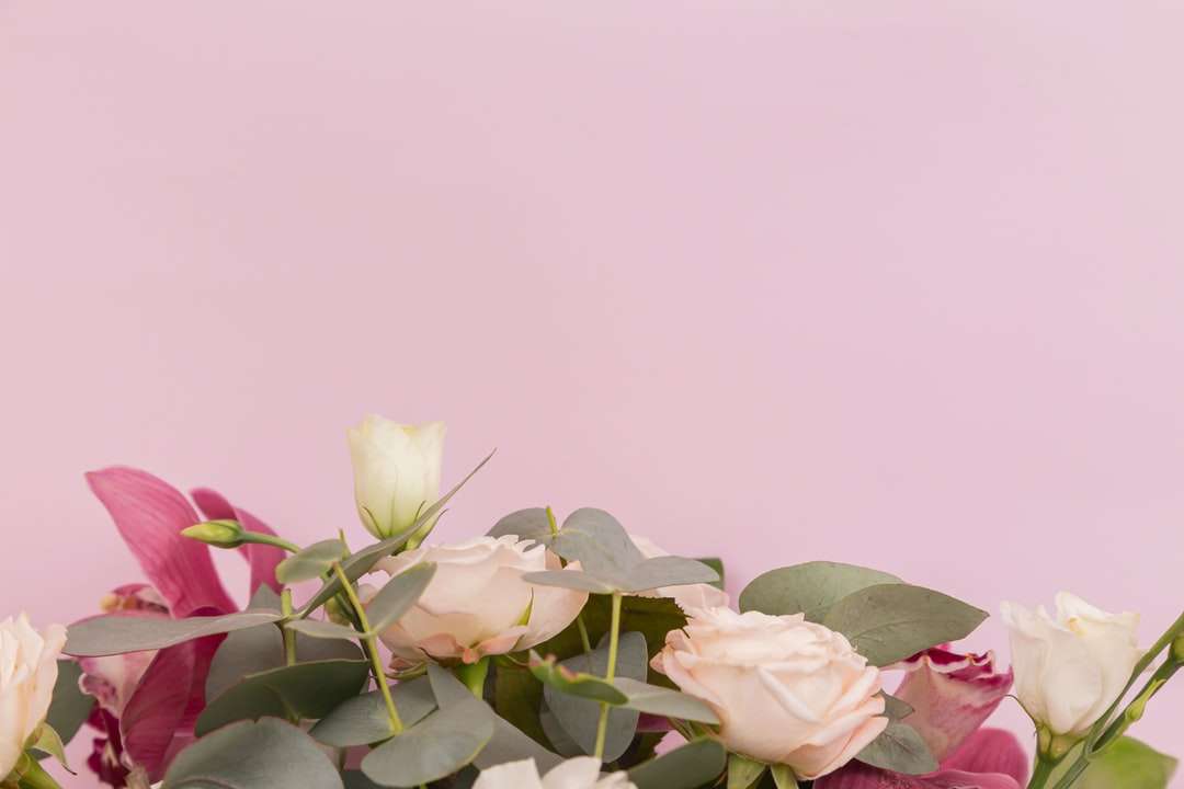 белые и розовые цветы розы пазл онлайн