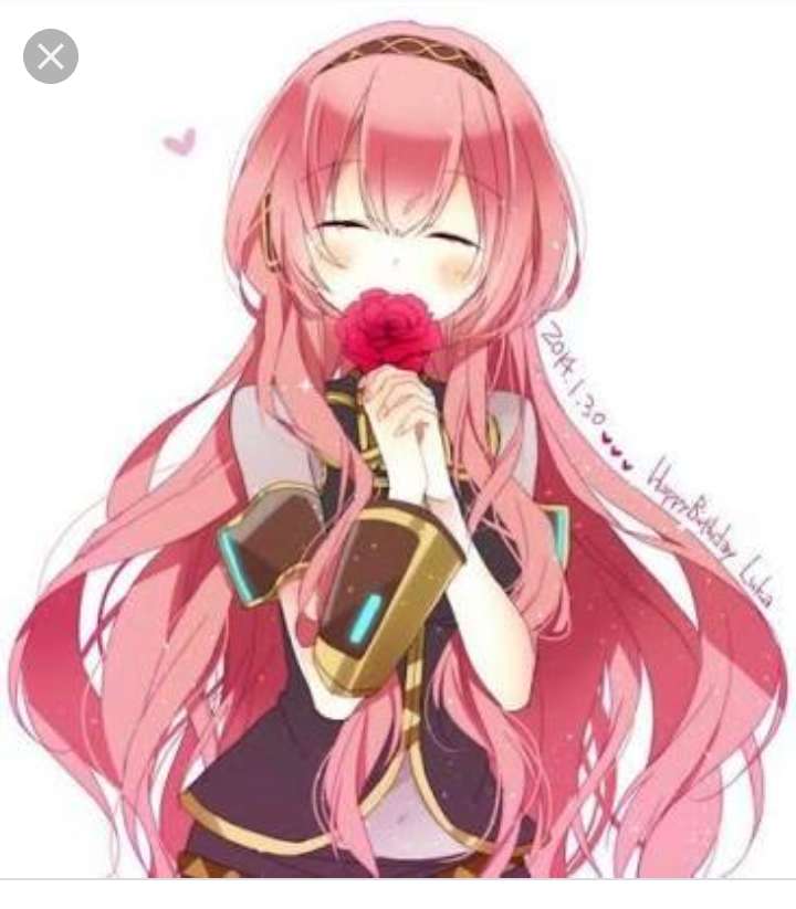 Megurinee luka rompecabezas en línea