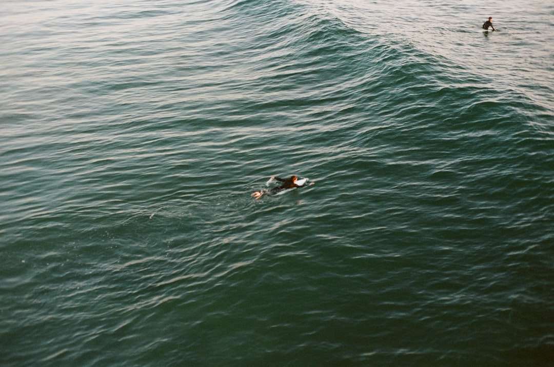 мъж в черен бански в средата на океана онлайн пъзел