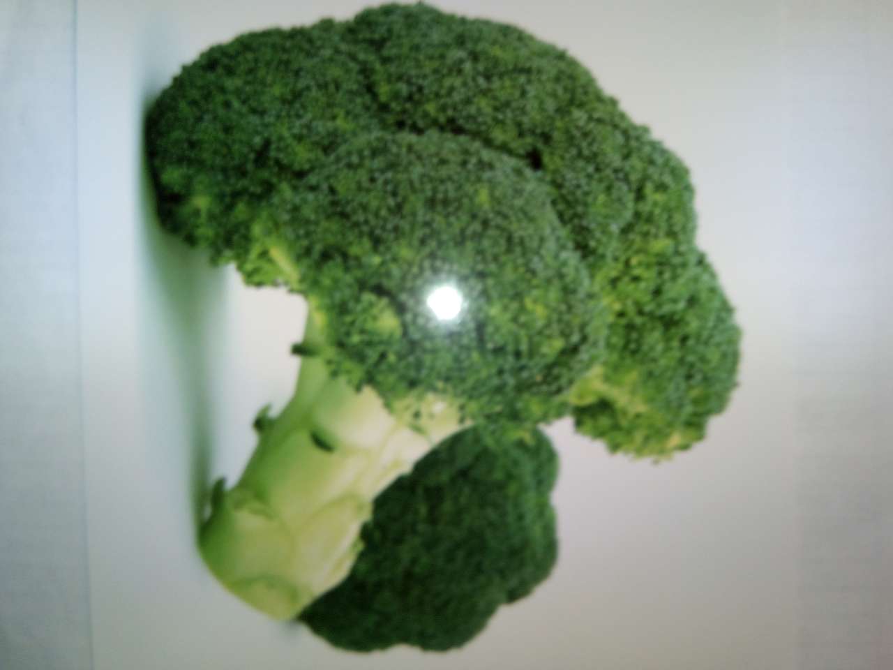 Puzzle " Broccoli" puzzle online