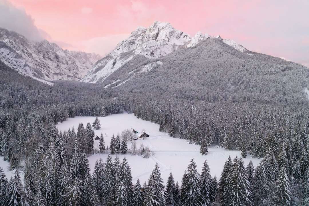 alberi di pino verdi vicino alla montagna coperta di neve durante il giorno puzzle online
