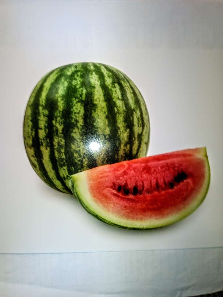 "Watermelon" puzzle online puzzle