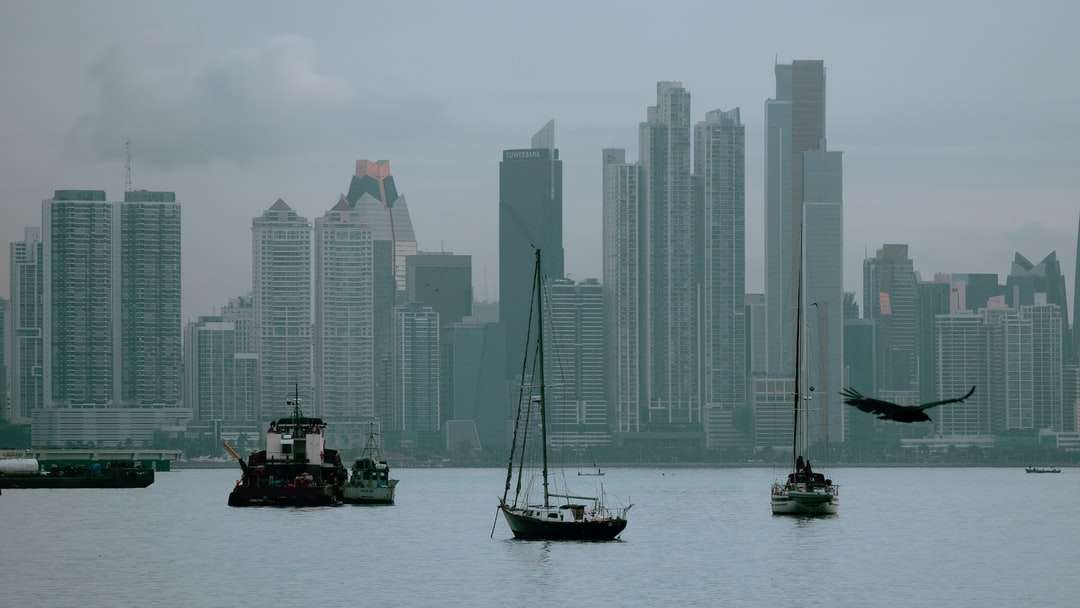 бяла и черна лодка по море в близост до градски сгради онлайн пъзел