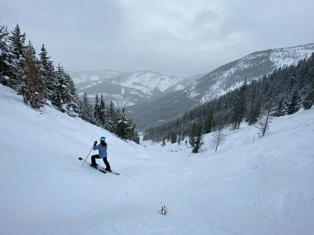 Person in weißer Jacke und schwarzer Hose auf Skiblättern Online-Puzzle