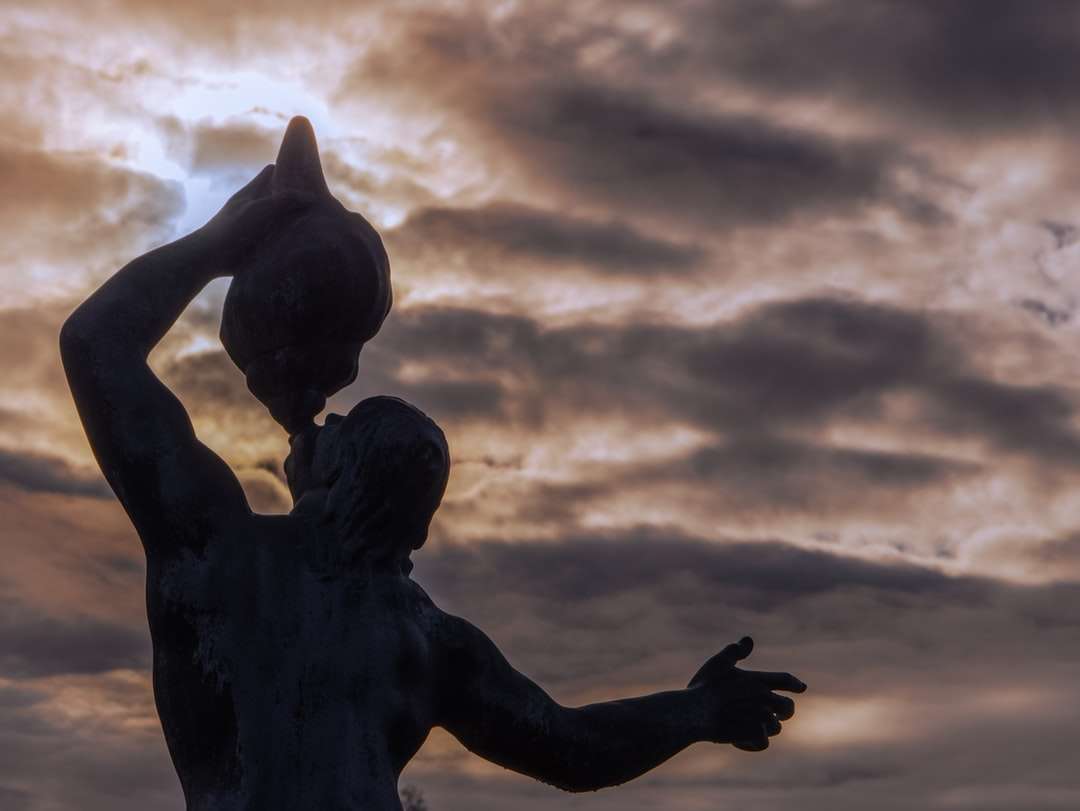 силует на човешка статуя под облачно небе през деня онлайн пъзел