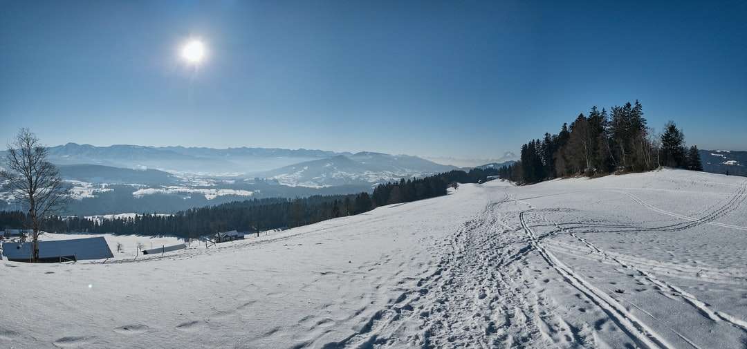 campo coperto di neve e alberi sotto il cielo blu durante il giorno puzzle online