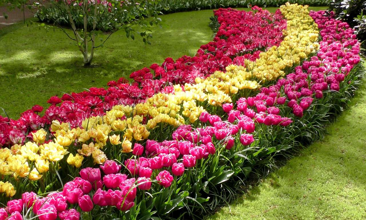 Festival des tulipes puzzle en ligne