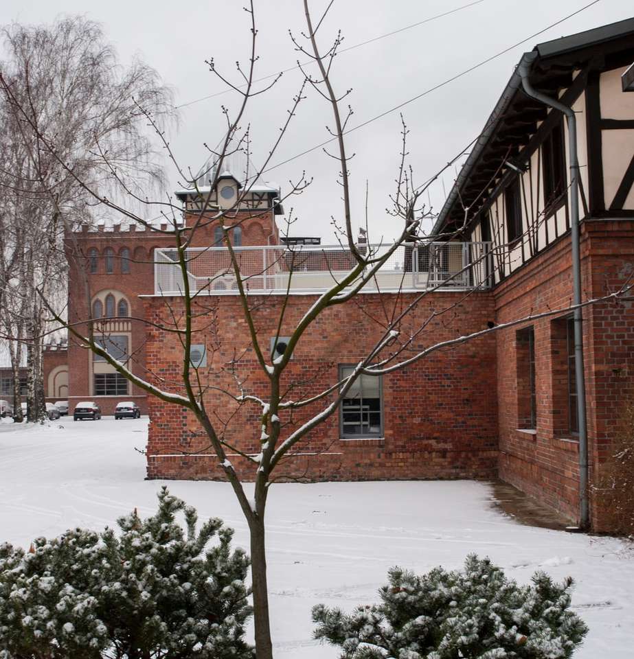 árvore marrom nua em solo coberto de neve puzzle online