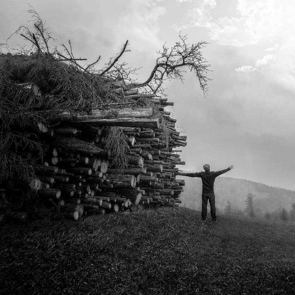 Graustufenfotografie des Mannes, der neben Waldhaufen steht Online-Puzzle