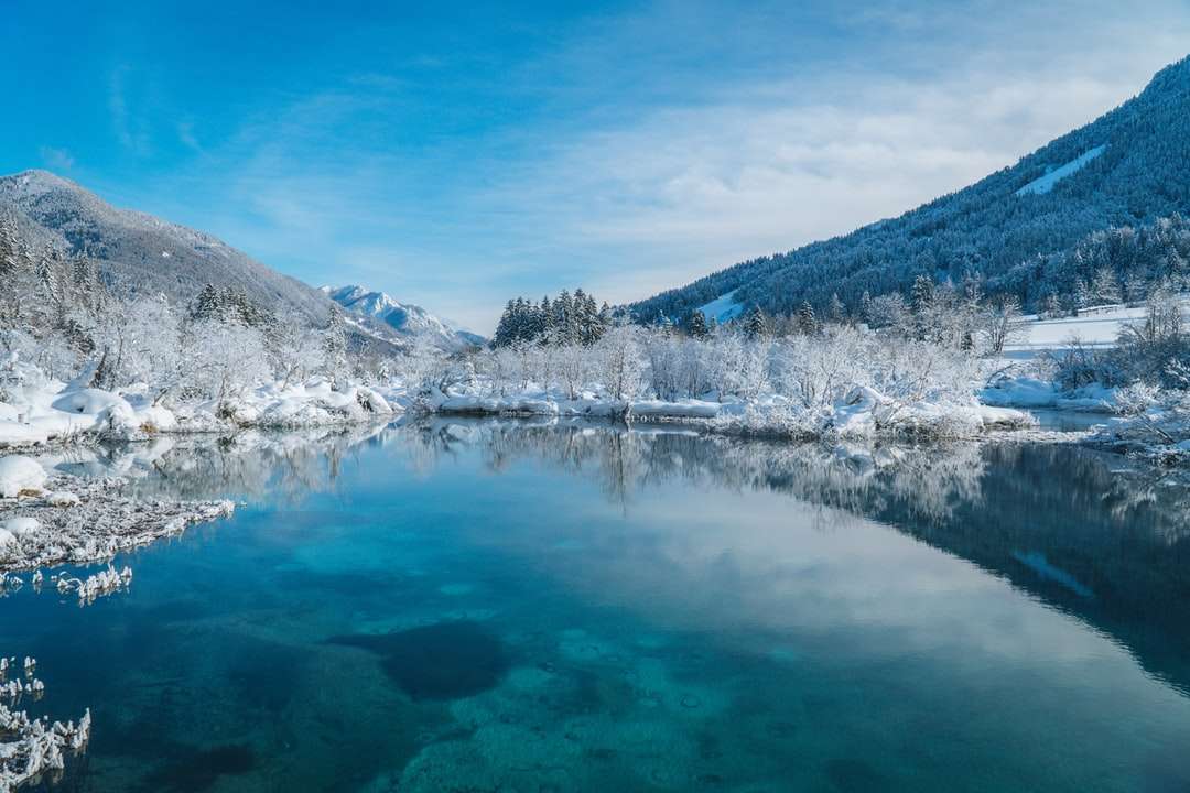 озеро в оточенні дерев і гір під блакитним небом пазл онлайн
