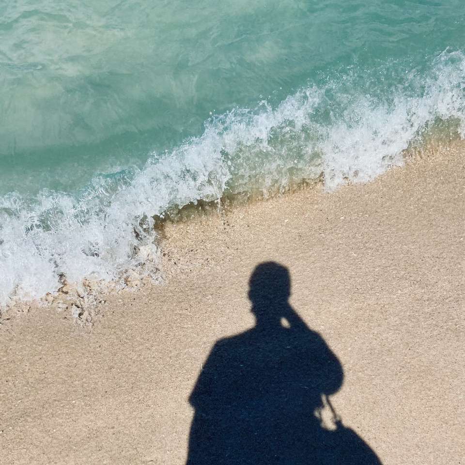 mulher de vestido preto em pé na praia durante o dia quebra-cabeças online