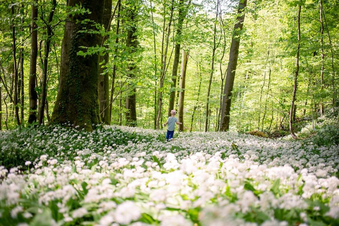 жінка в синій сорочці з довгим рукавом ходить по лісу онлайн пазл