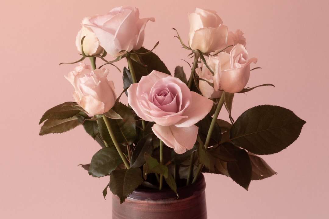 розови рози в саксия от кафява глина онлайн пъзел