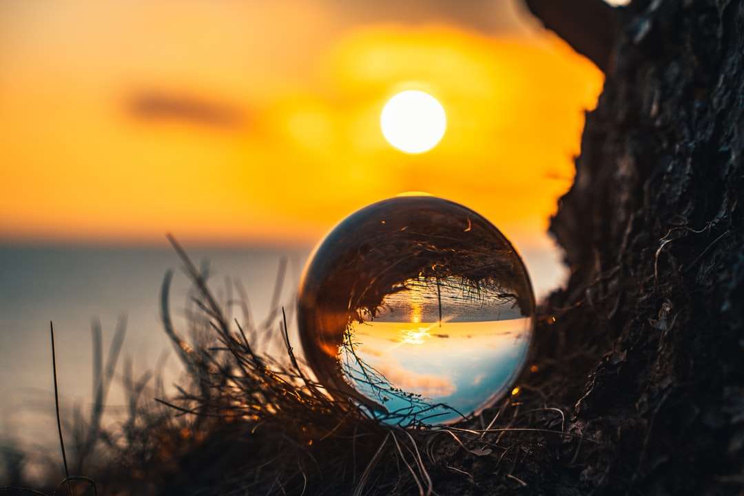 minge de sticlă transparentă pe iarbă maro în timpul apusului puzzle online