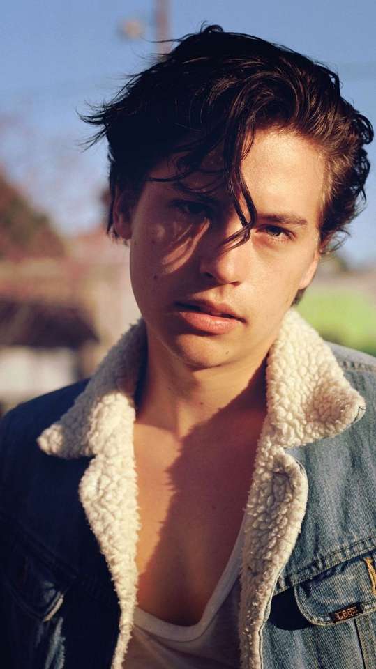 Cole sprouse jigsaw puzzle online