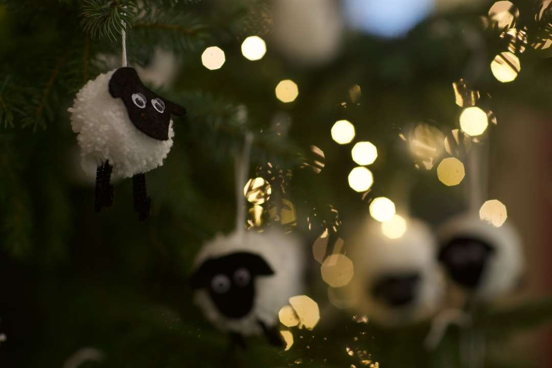 černá a bílá panda na větvi stromu skládačky online