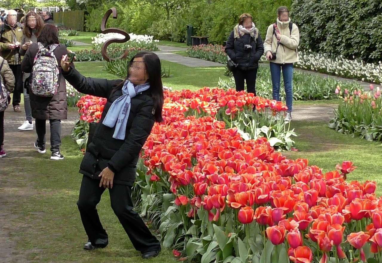 Festival dei tulipani puzzle online
